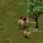 Horse Mod [B42.20+/MP] 6
