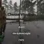 Lumberjack Dynamics 2