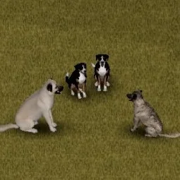 CD: Livestock Guardians